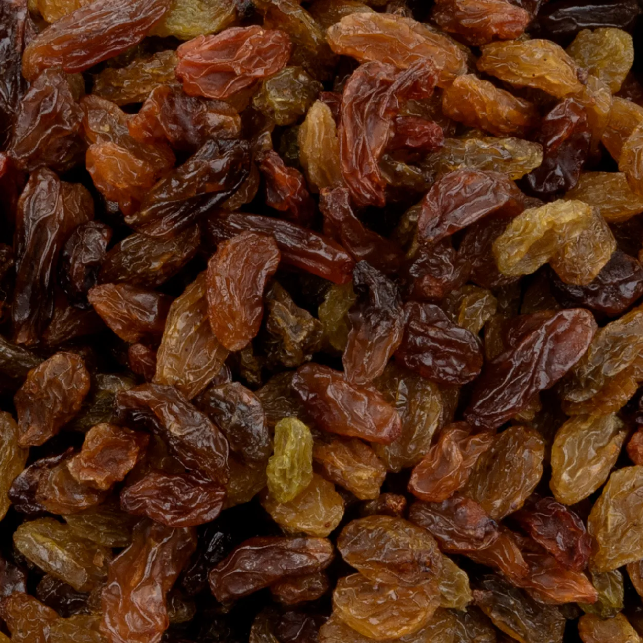 Raisins Manufacturer in India